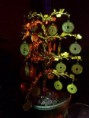 /album/fotogaleria/cam00020-jpg/